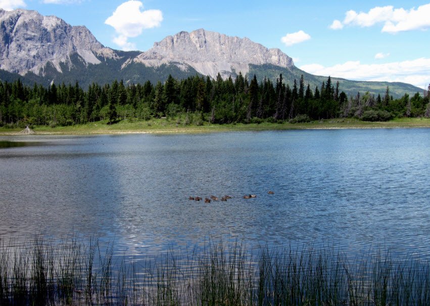 Bow Valley Provincial Park, Alberta, Canada